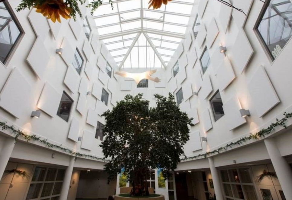 Eclipse Wall verbindt akoestiek en esthetiek