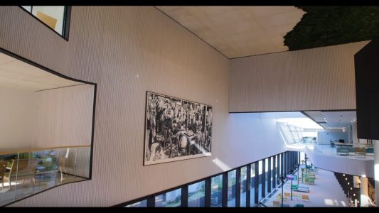 Hunter Douglas