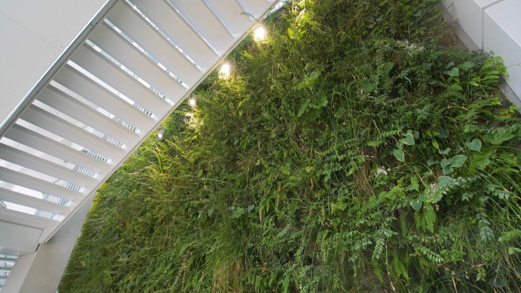 sempergreen het platform utrecht tuinen
