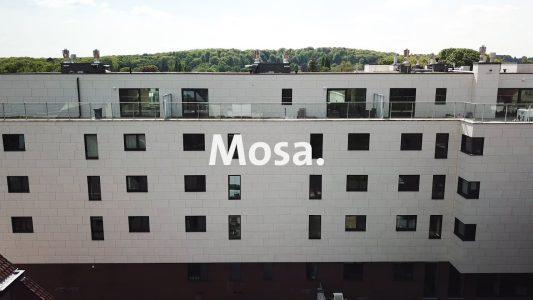 mosa