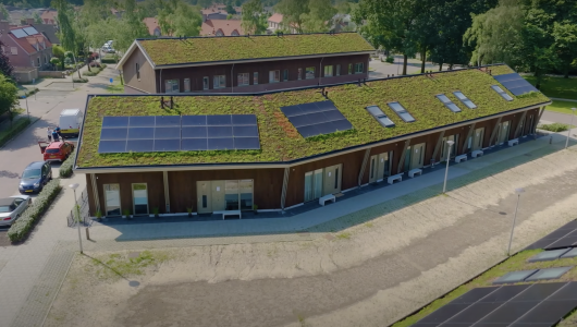 sempergreen bogerd uden