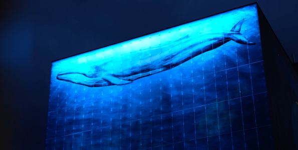 Pilkington - Piispantorni