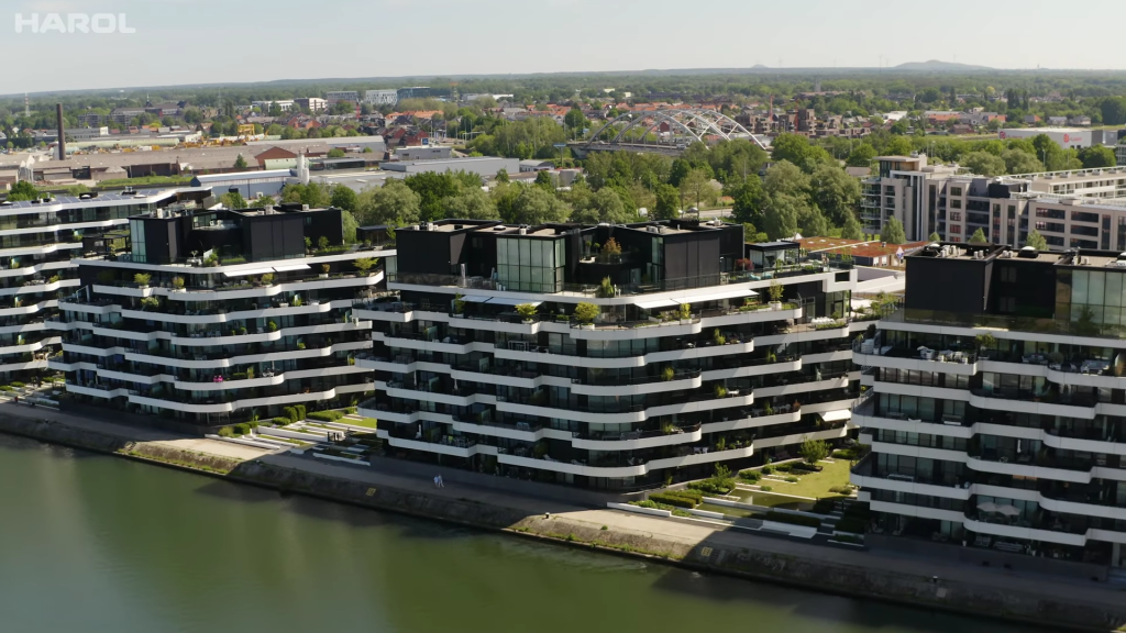 harol luifels zuidzicht hasselt
