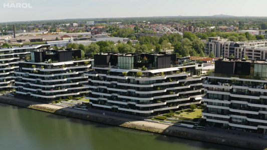 harol luifels zuidzicht hasselt