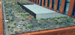 GR8 Roofs realiseert groendaken en dakafwerking voor Fugro Nootdorp (video)